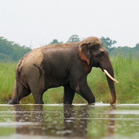 Bardiya Family House - Bardia National Park酒店 外观 照片