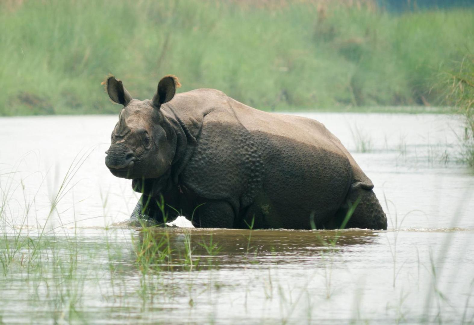 Bardiya Family House - Bardia National Park酒店 外观 照片