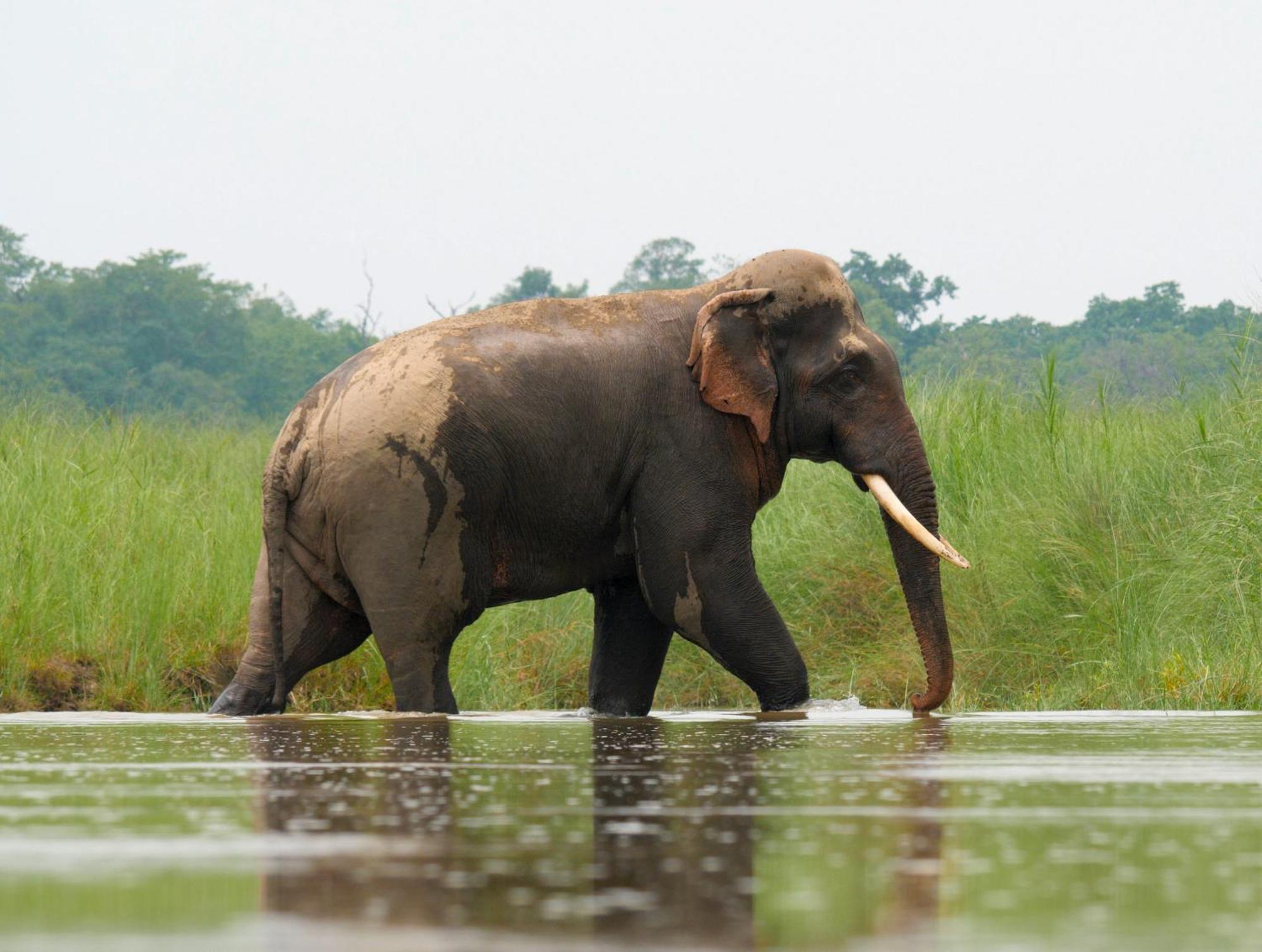 Bardiya Family House - Bardia National Park酒店 外观 照片